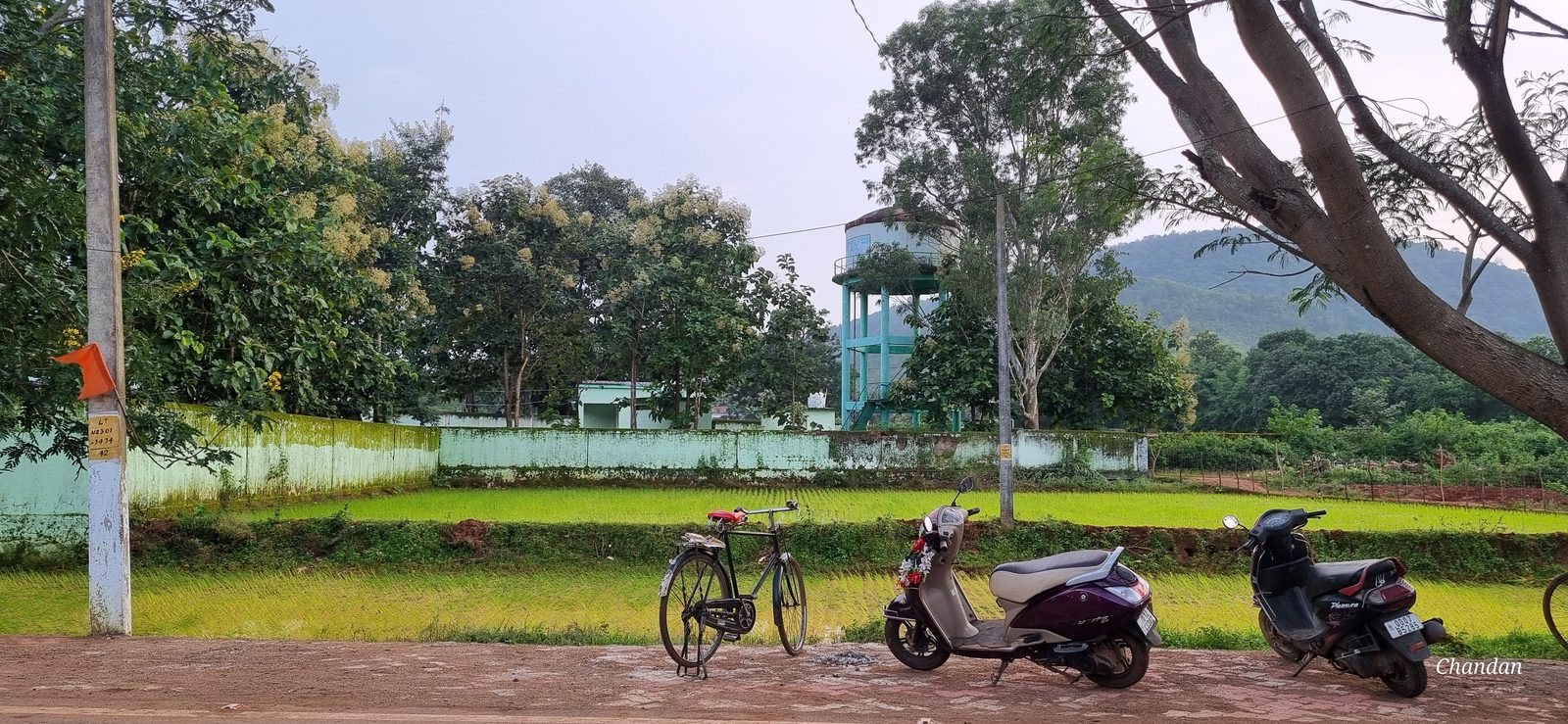 Motorcycles parked at the edge of a green paddy field
