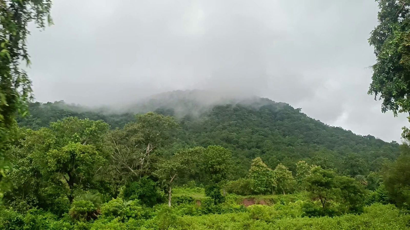 Mist on hills