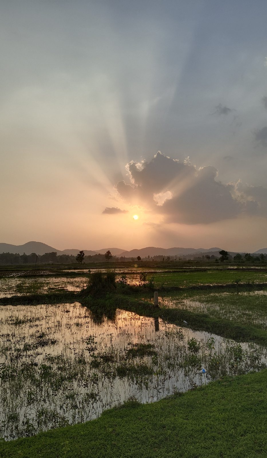 Sun breaking through a cloud in rays over flooded paddy fields, low hills on the horizon, the water holding the reflection
