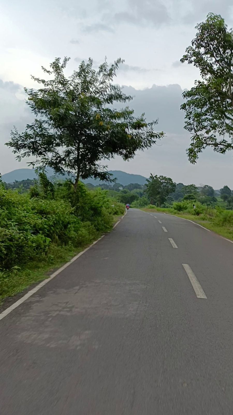 The road climbing west into the Eastern Ghats