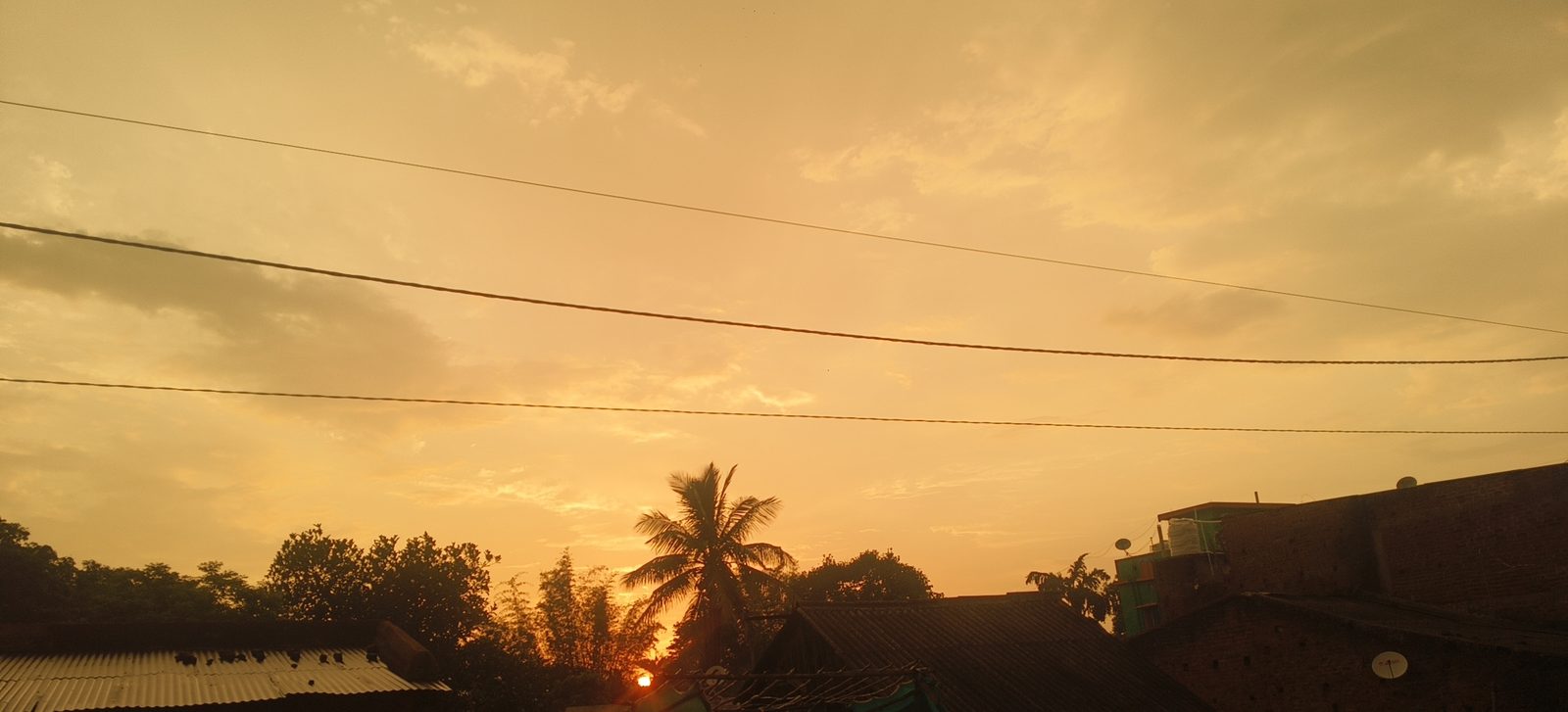 The sun dropping behind a coconut palm and a line of tin and tile roofs, electric wires crossing an orange sky