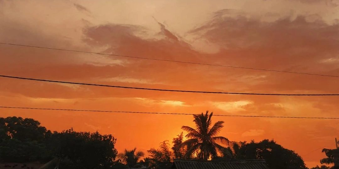 An orange and grey sunset behind trees and a corrugated roof, two power lines running across the sky