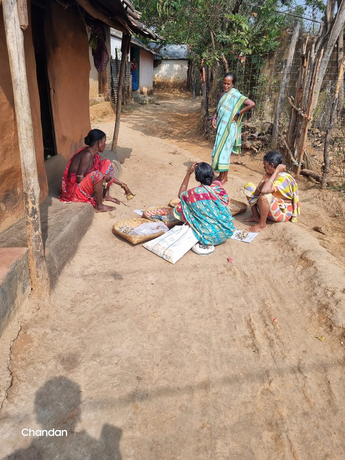 Women sitting near the earth